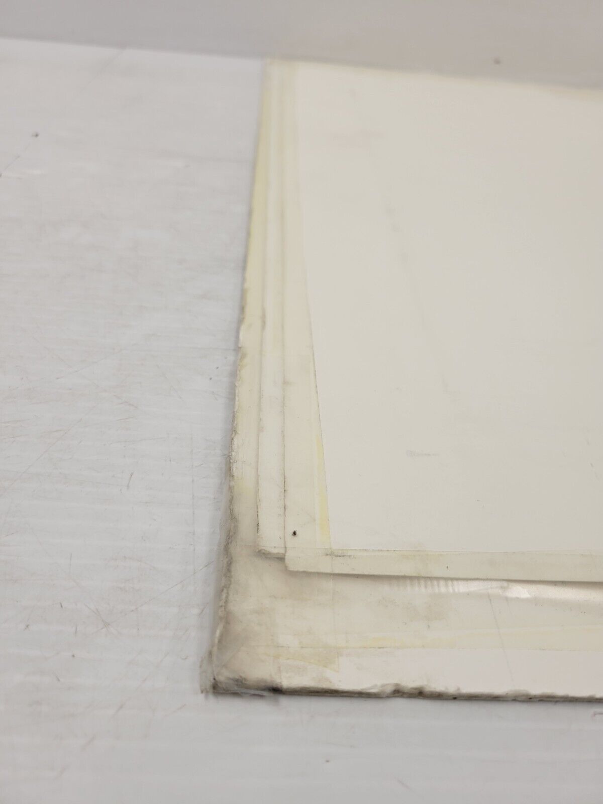 (I-34663) No Name Snowy Owl Print by Randy Fahr