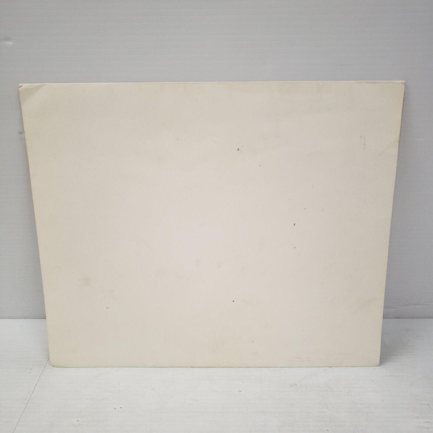 (I-34660) Buzzard Council Of America 1981 par Robert K Abbett Imprimer