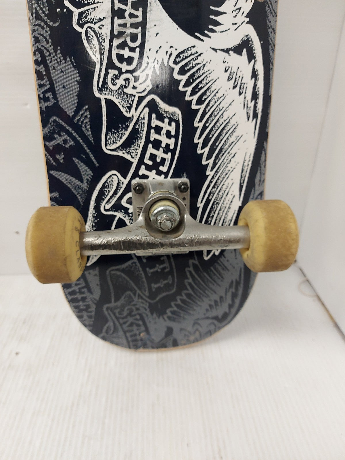 45404697