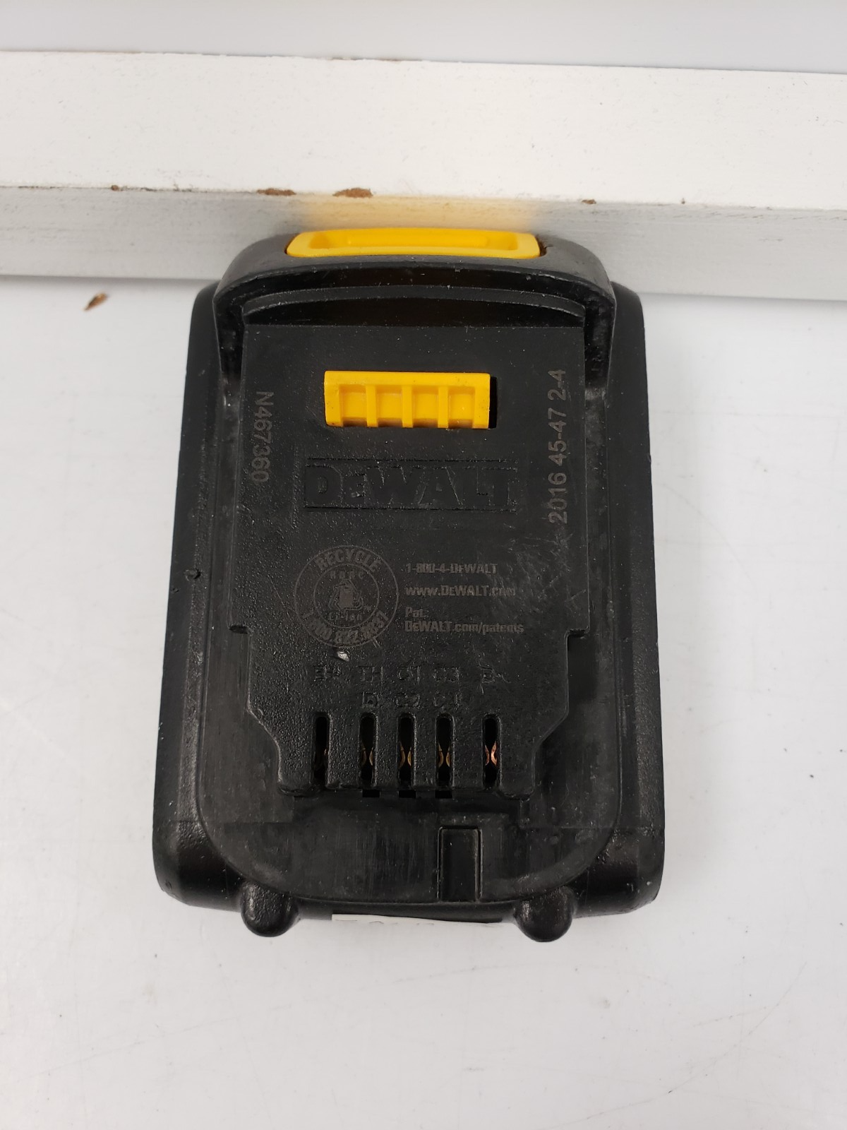 45057231
