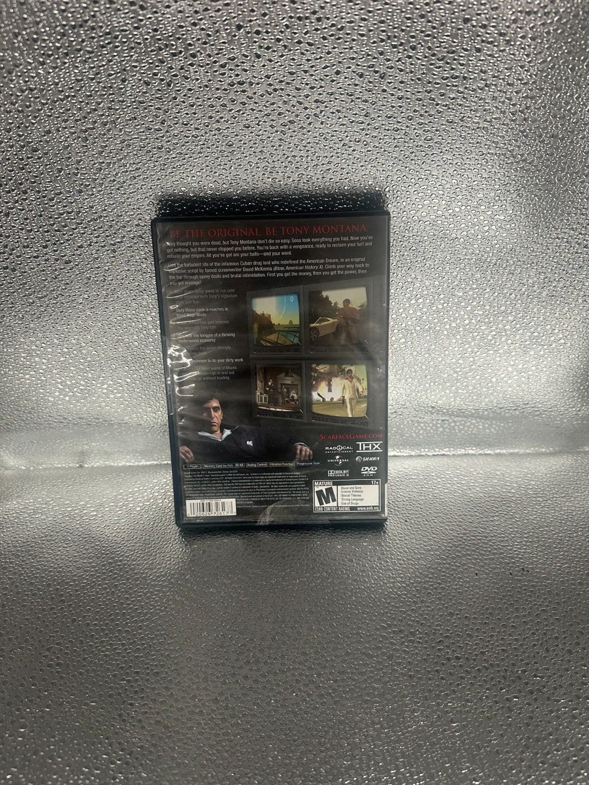 47067550