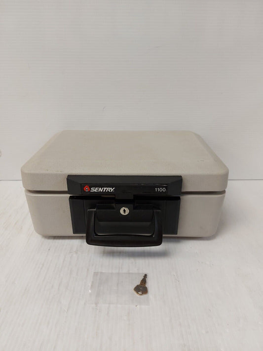 (N86453-2) Sentry 1100 Safe