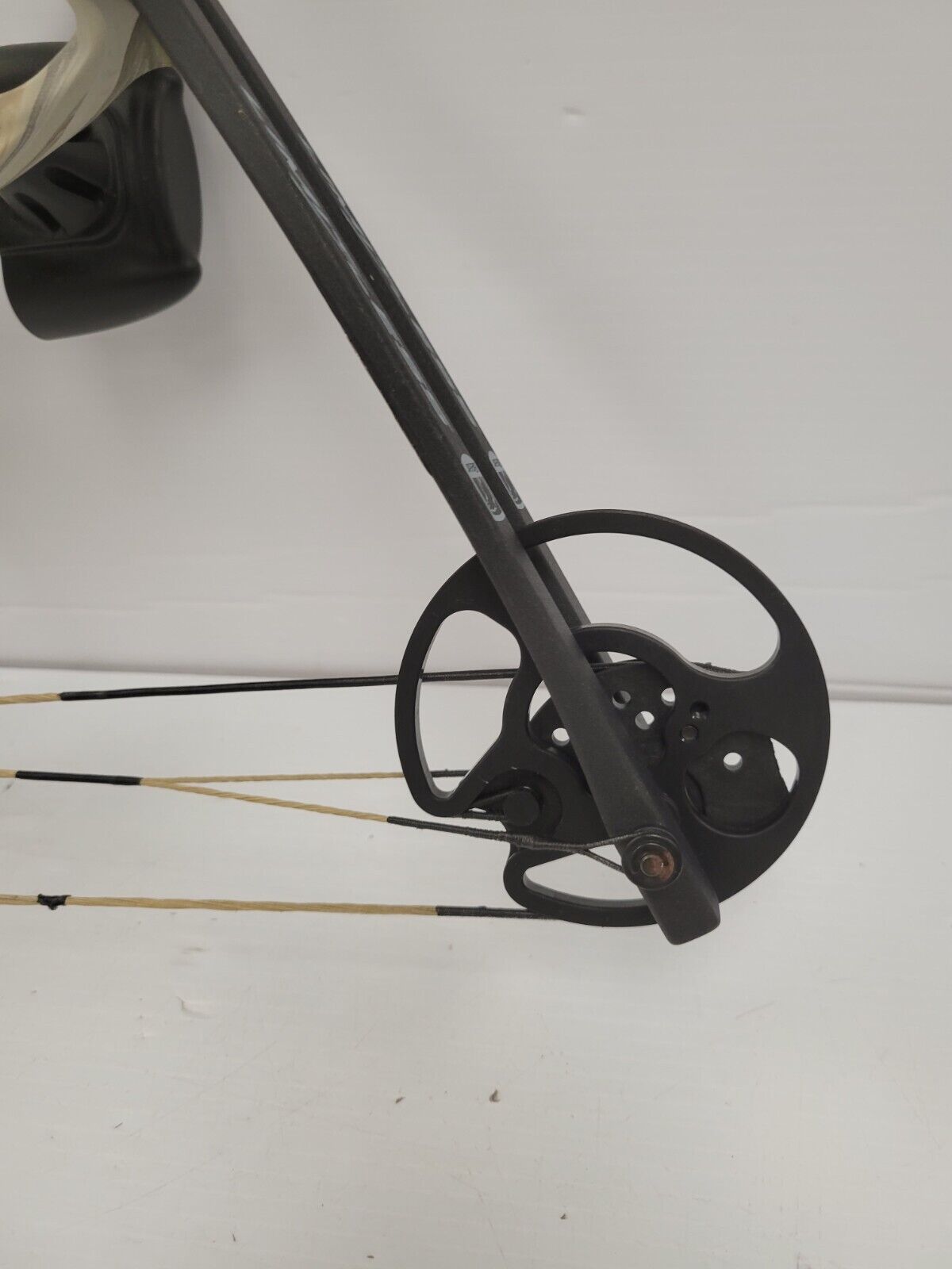 (65703-1) Bear Limitless Compound Bow