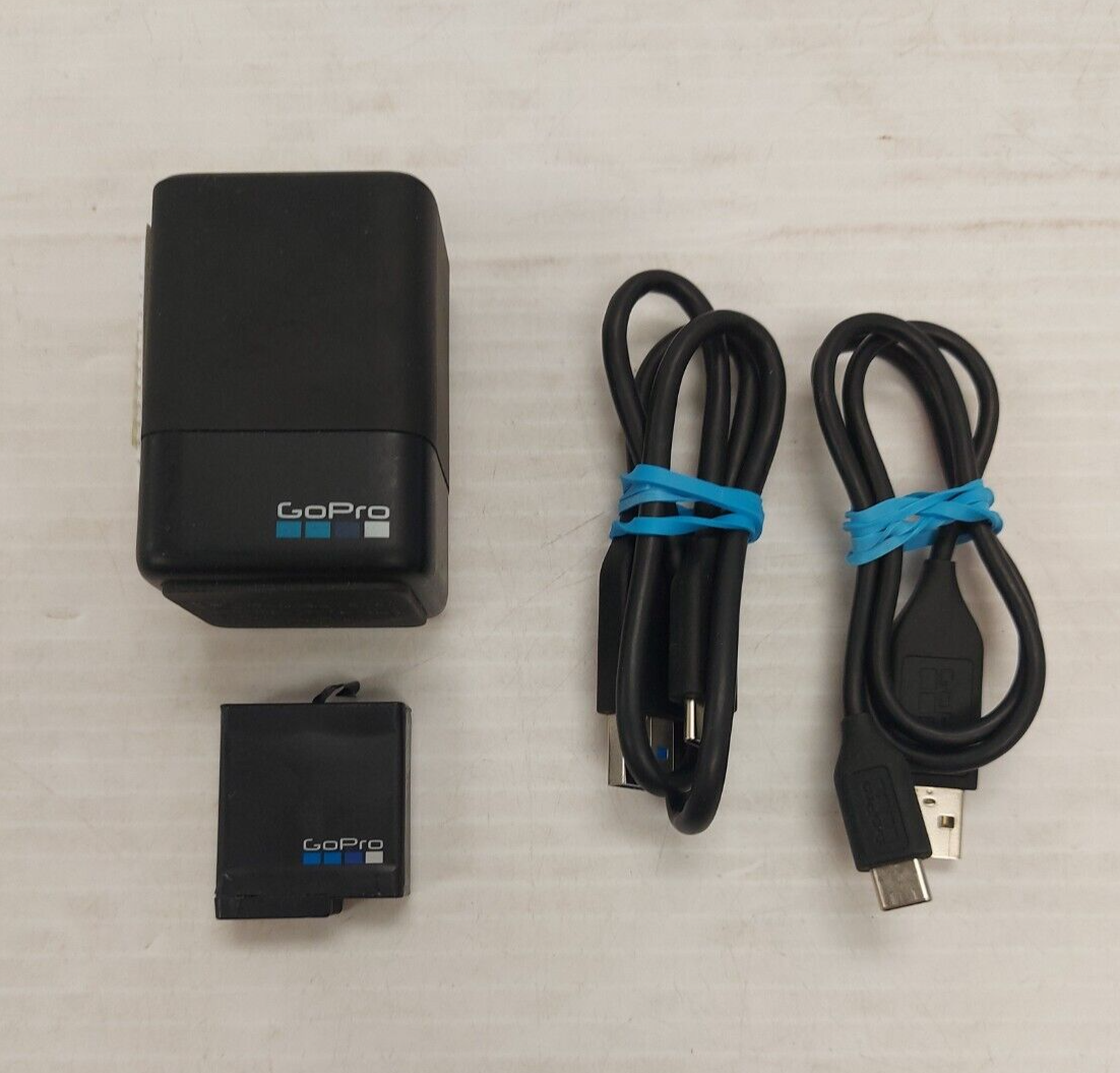 (NI-20546) Chargeur de batterie GoPro AADBD-001