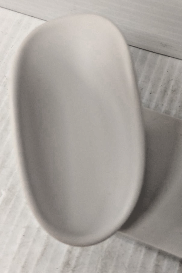 45570291