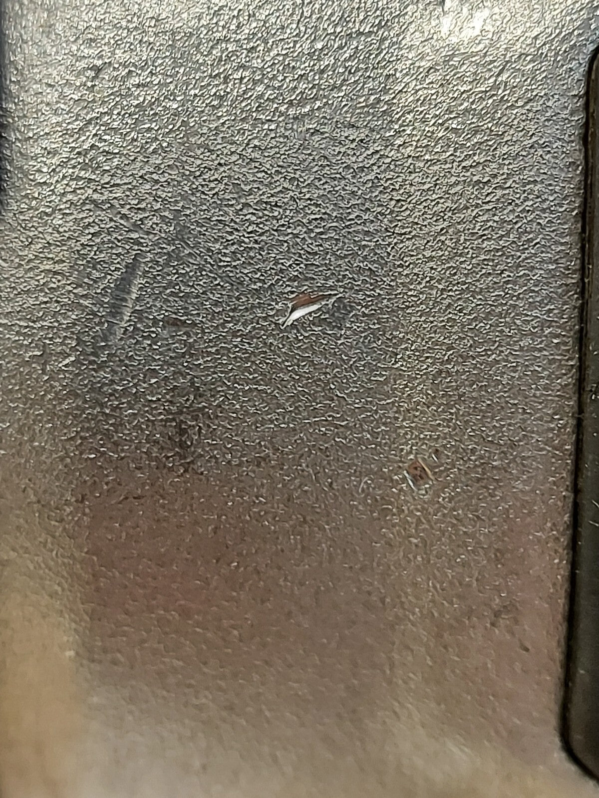 44901894