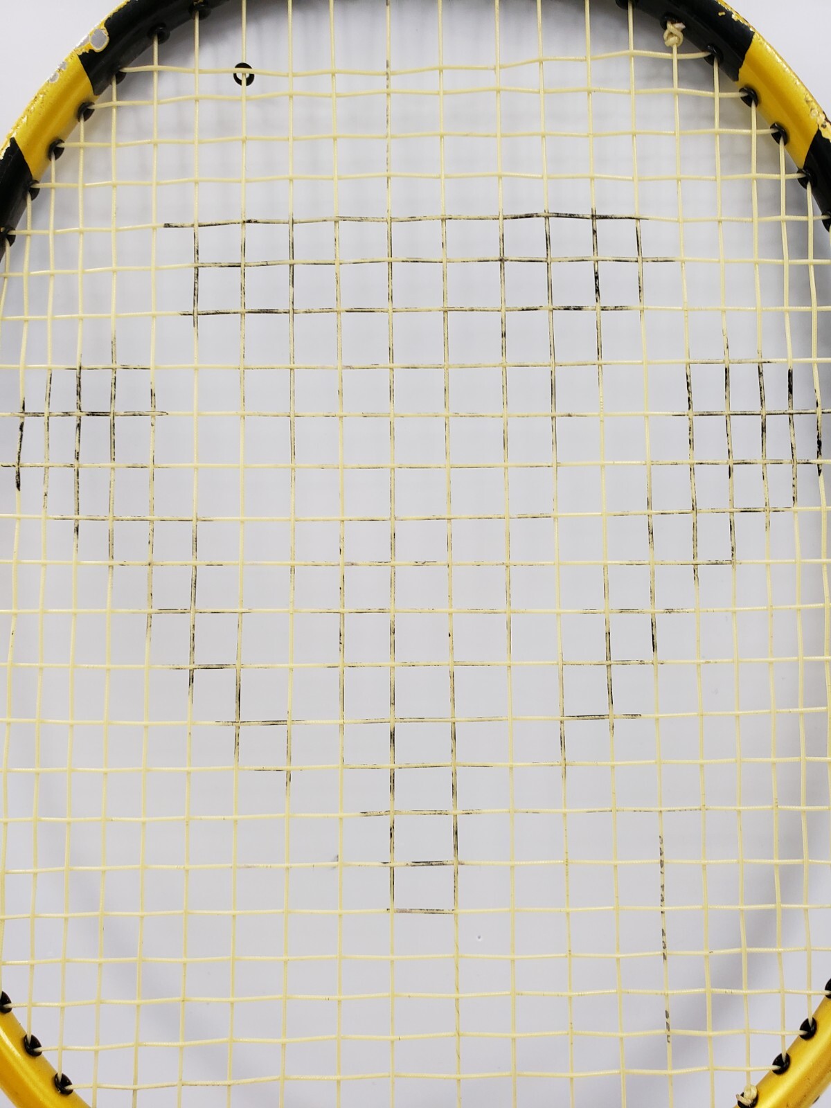 45006300