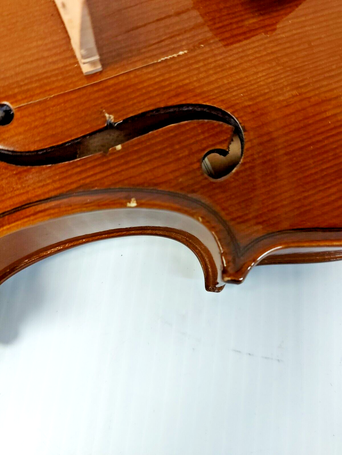 (N85869-1) Stentor Student II Violin
