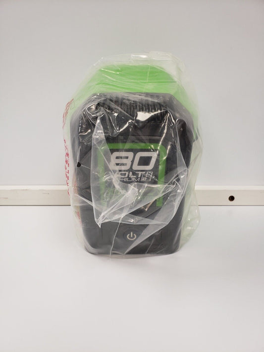 (69353-4) Greenworks IV80A00 Power Inverter