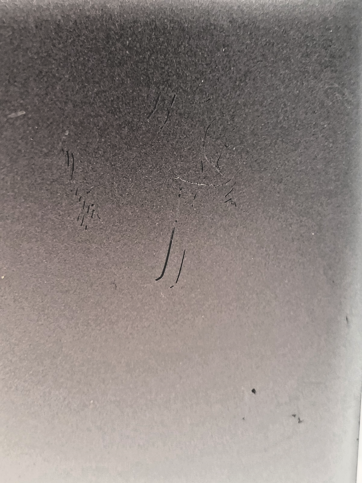 47064900