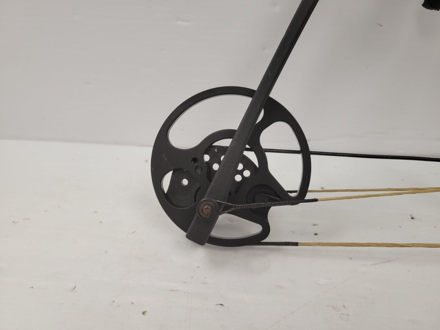 (65703-1) Bear Limitless Compound Bow