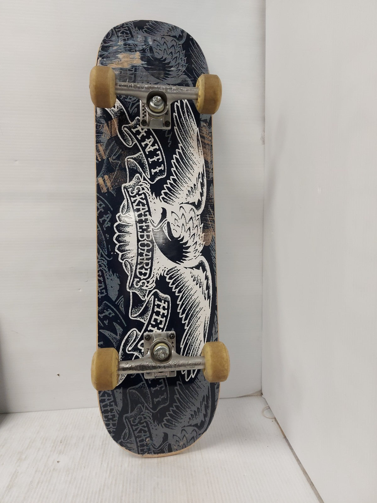 45404697