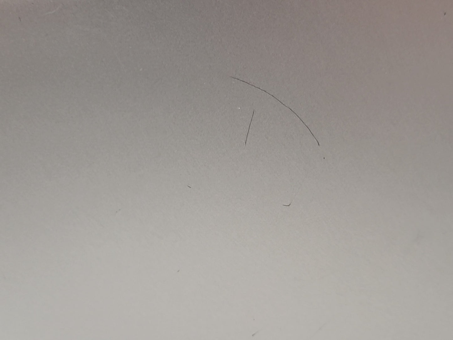 47064902