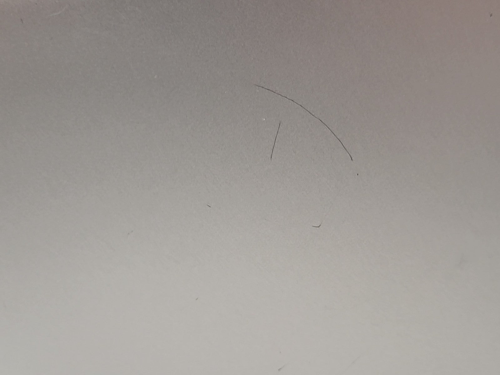 47064902