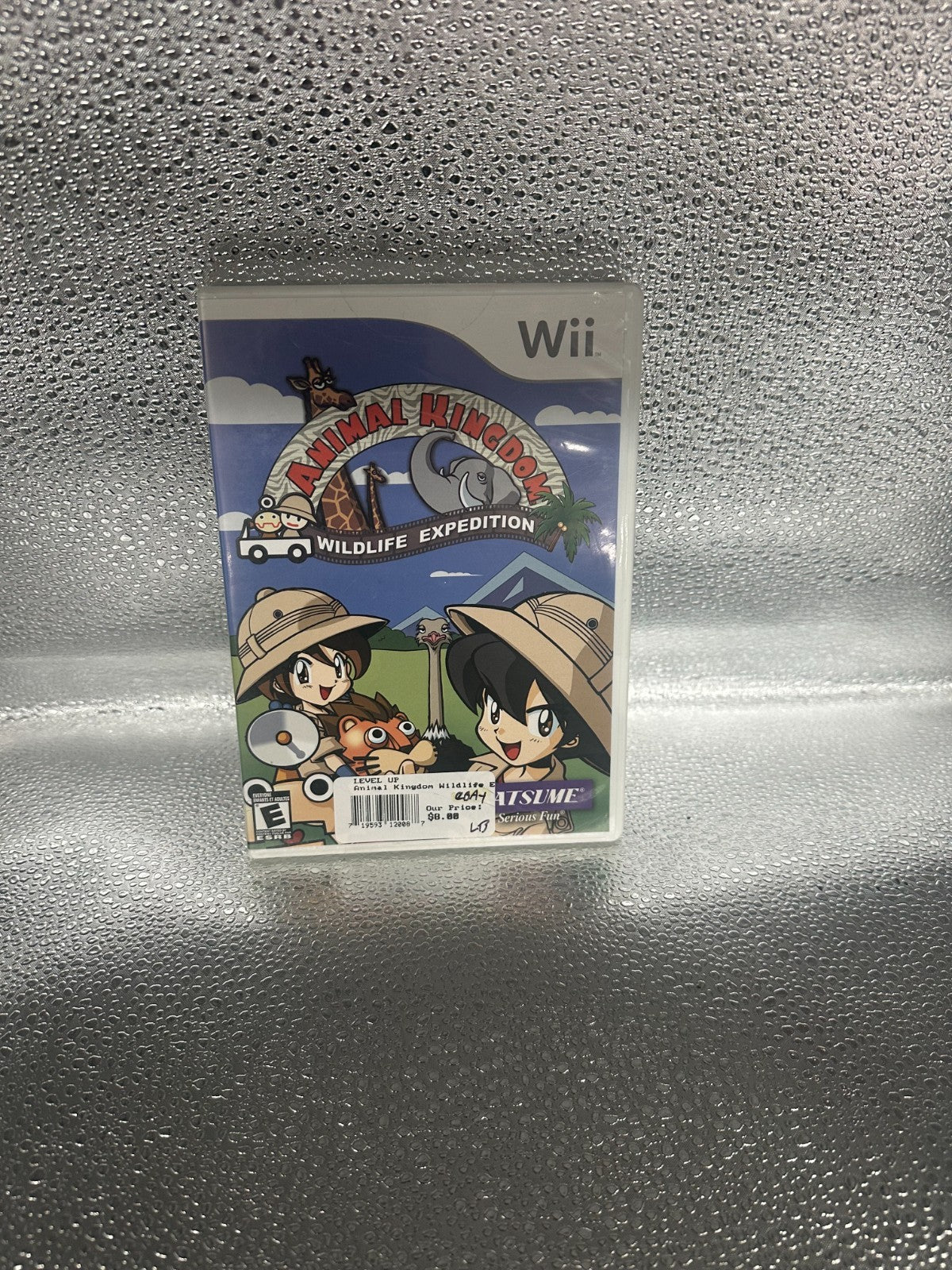 46678653