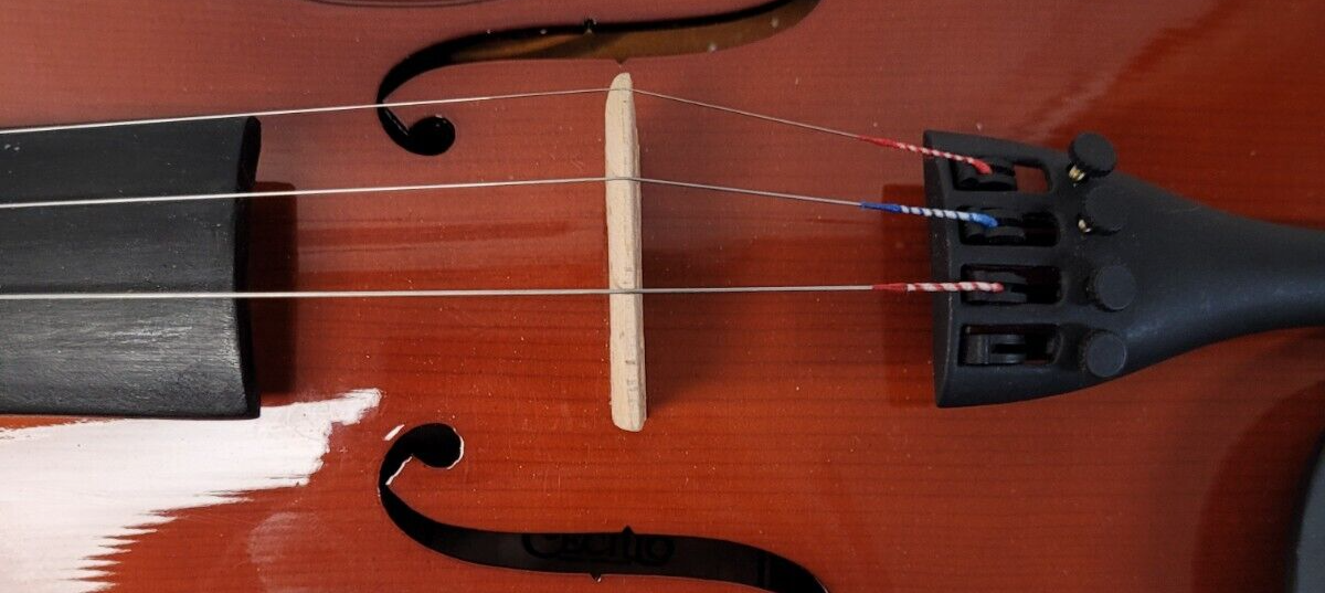 (N76968-1) Violon Cecilio CVN-100