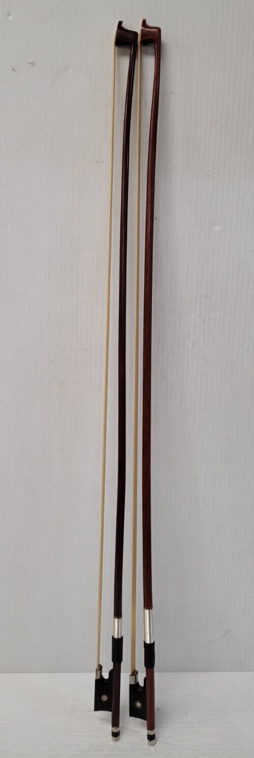 (N76968-1) Violon Cecilio CVN-100