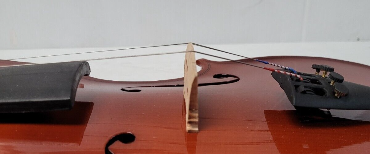 (N76968-1) Violon Cecilio CVN-100