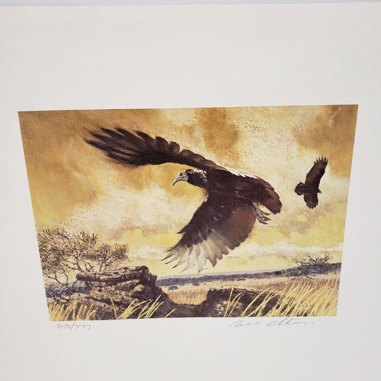 (I-34660) Buzzard Council Of America 1981 By Robert K Abbett Print