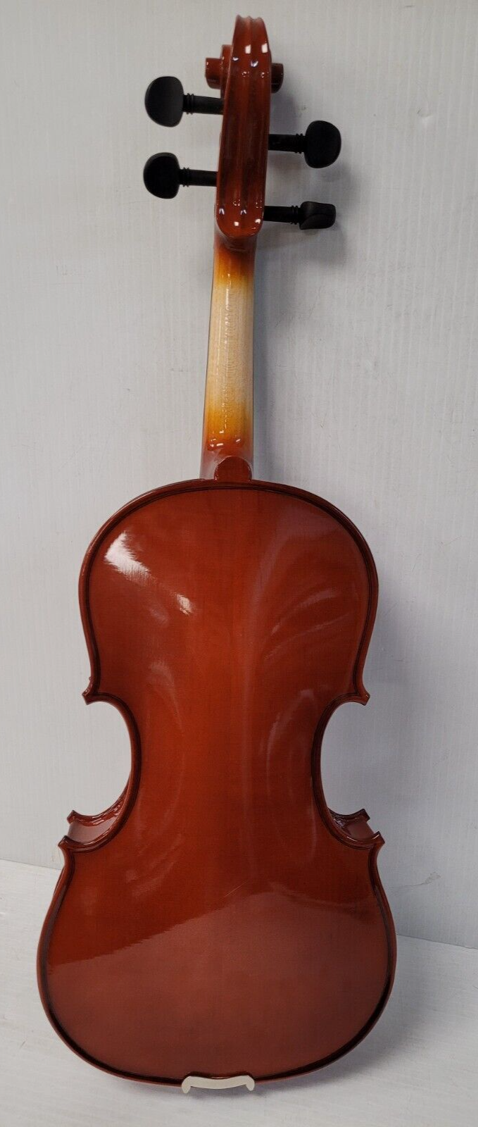 (N76968-1) Violon Cecilio CVN-100