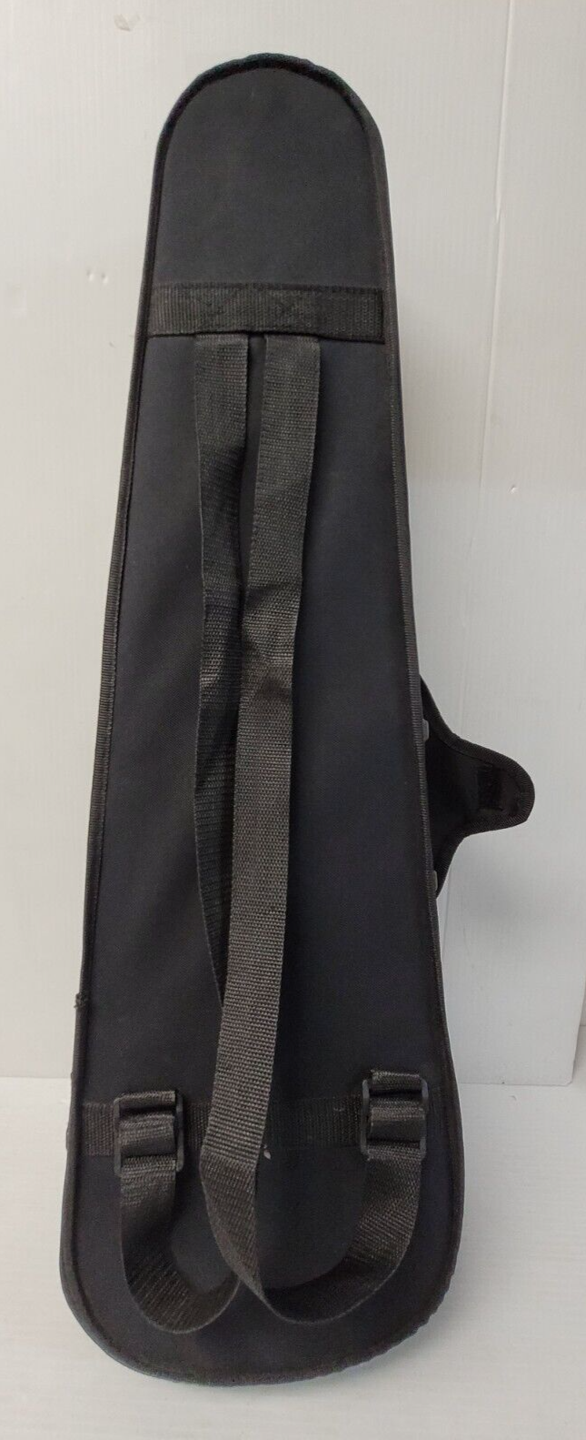 (N76968-1) Violon Cecilio CVN-100