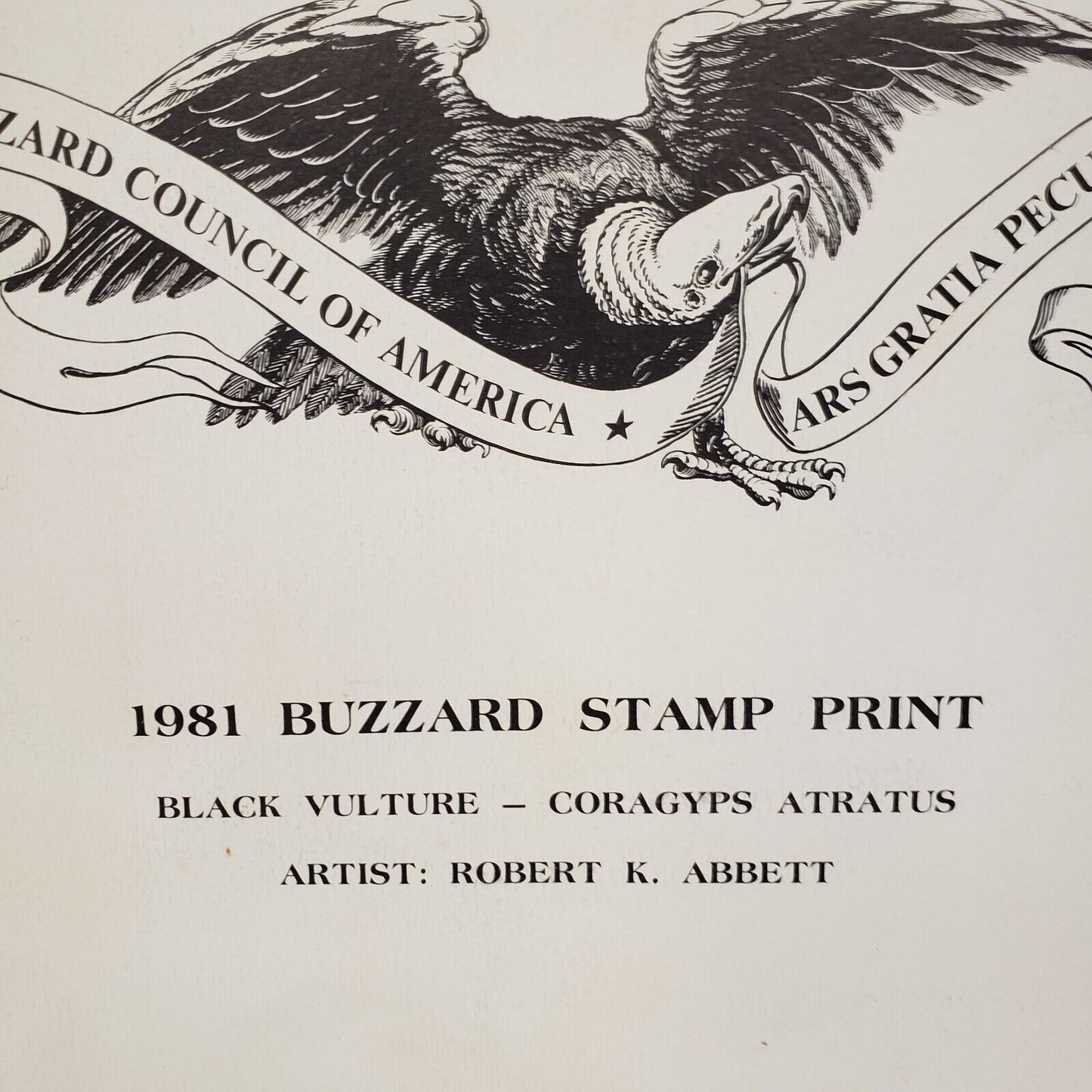 (I-34660) Buzzard Council Of America 1981 By Robert K Abbett Print