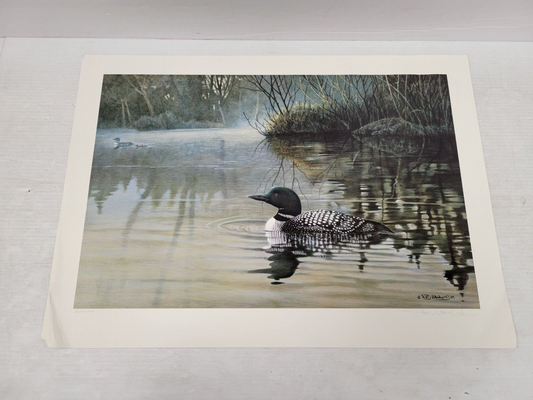 (I-34692) Wildlife In Jeopardy Serenity - Common Loon Nell Blackwell