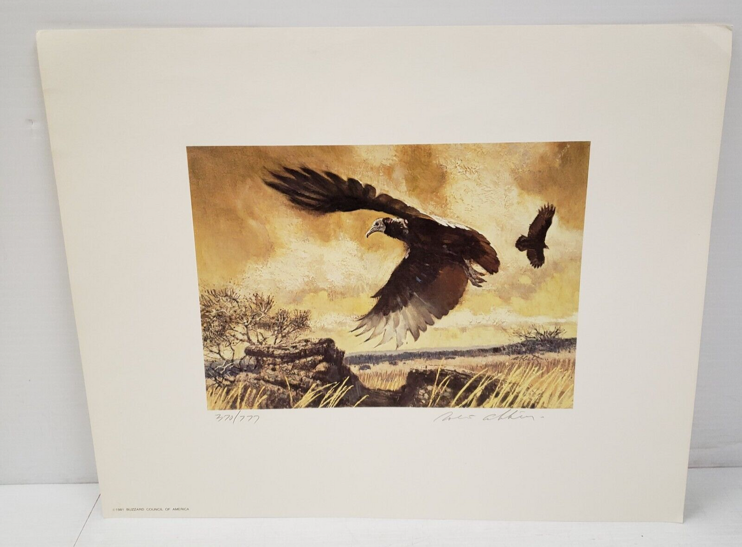 (I-34660) Buzzard Council Of America 1981 By Robert K Abbett Print