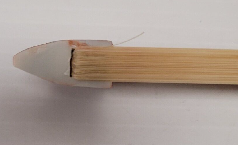 (N76968-1) Violon Cecilio CVN-100