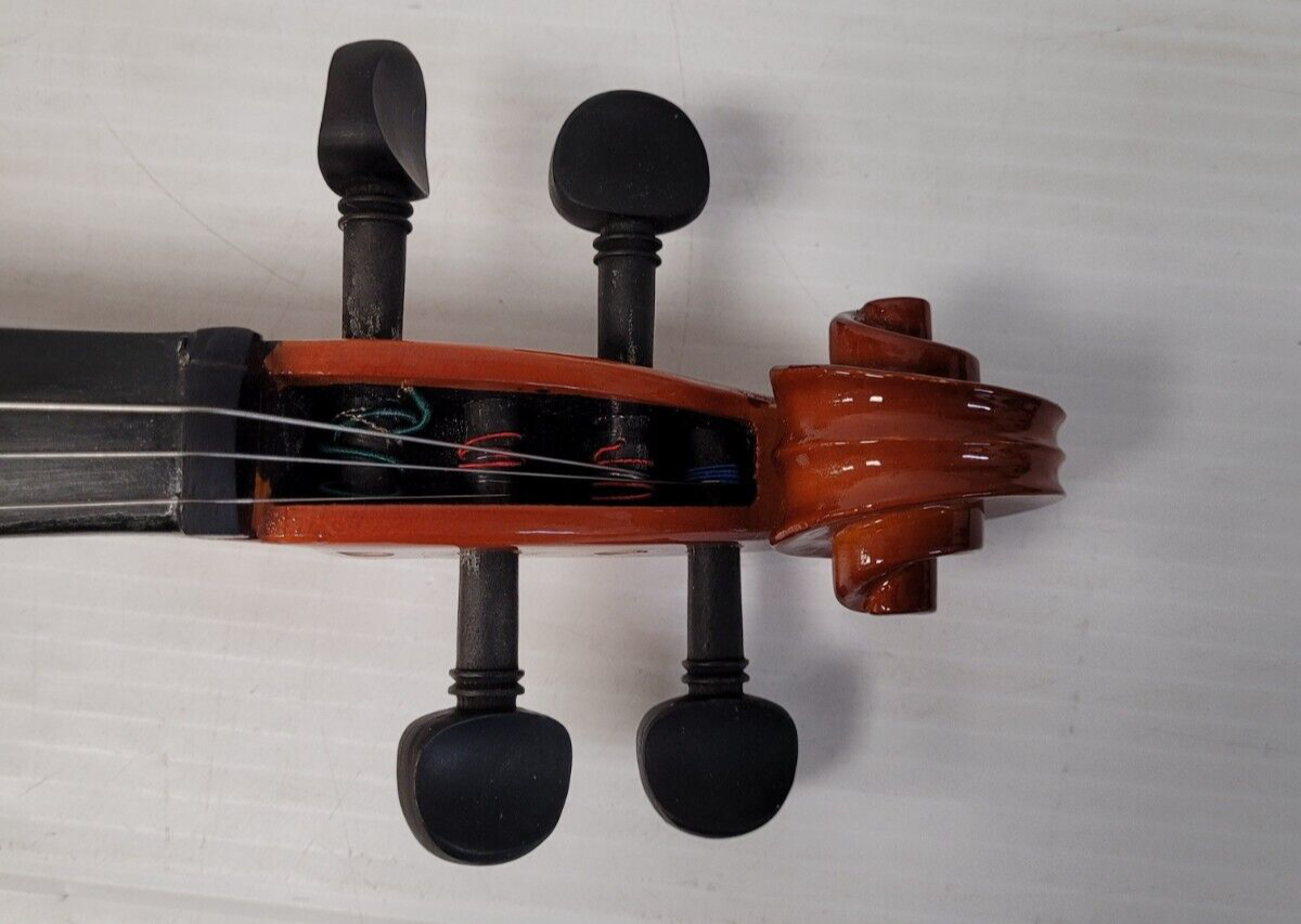 (N76968-1) Violon Cecilio CVN-100